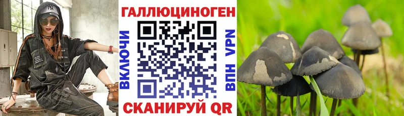 Псилоцибиновые грибы ЛСД Берёзовка
